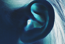 Anatomie et Physiologie de l'oreille